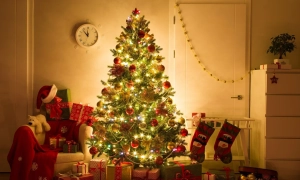 Повернення Криму, лінія розмежування та перемоги українців у 2021 році: що сказав Зеленський у новорічному вітанні