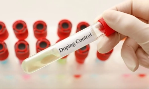 Українські вболівальники скандували знамениті слова на трибунах Парк-де-Пренс