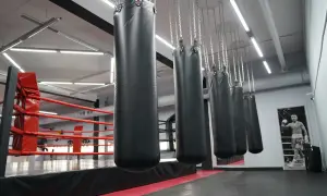 Довбик стал самым молодым автором гола в истории Украины на Евро