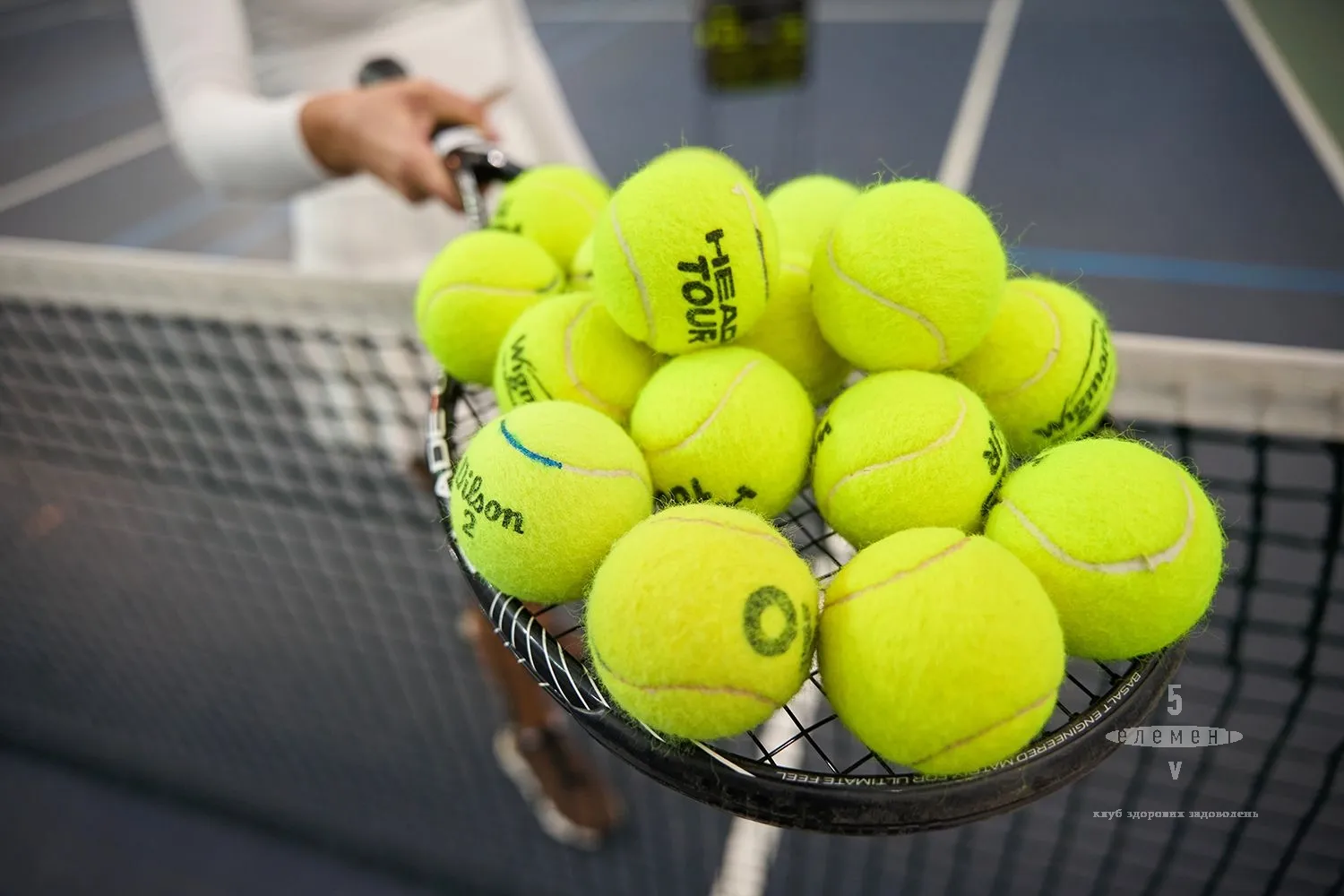 Світоліна тріумфально здобула титул WTA в Окленді