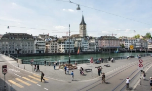 Вчені з'ясували, що джмелям властивий колективний розум