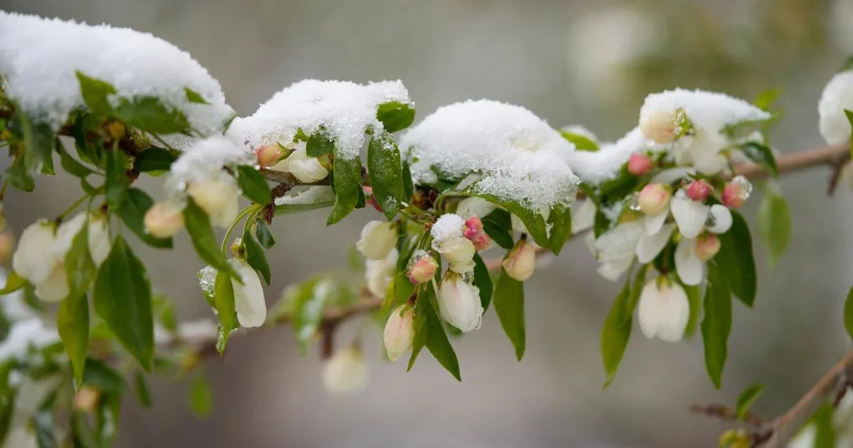 16 березня Україну накриє похолодання та штормовий вітер
