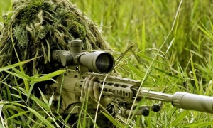 ОАЭ могут присоединиться к силовому открытию Ормузского пролива вместе с США, — WSJ