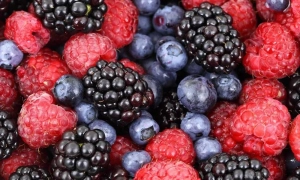 Можлива пауза: плани ФРС щодо підвищення ставки – Bloomberg