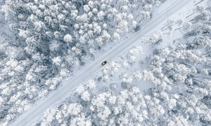 Білоруська влада передала бойовиків-вагнерівців Росії