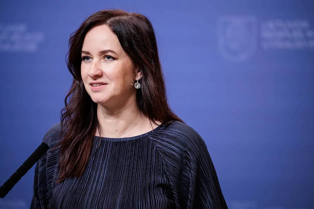 Литва заперечує причетність до інциденту з дроном на кордоні з Білоруссю — LRT