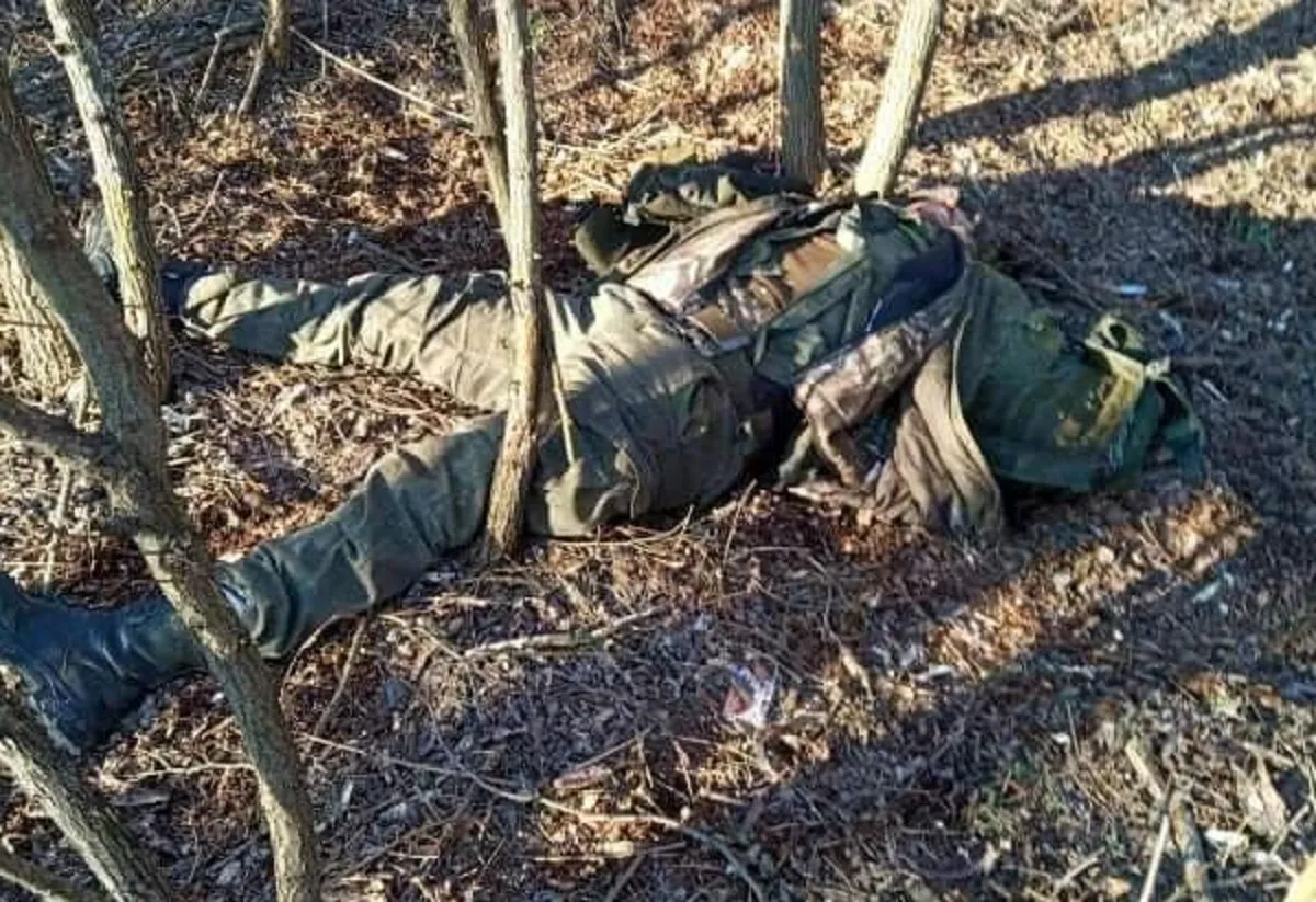 The Ukrainian Armed Forces eliminated a Russian champion with an intellectual disability on the front lines