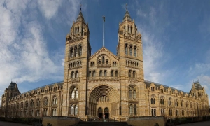 В Італії на місці стародавнього курорту знайшли цінні артефакти