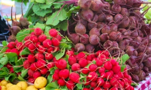 ЗСУ знищили російський ЗРК на Запорізькому напрямку 