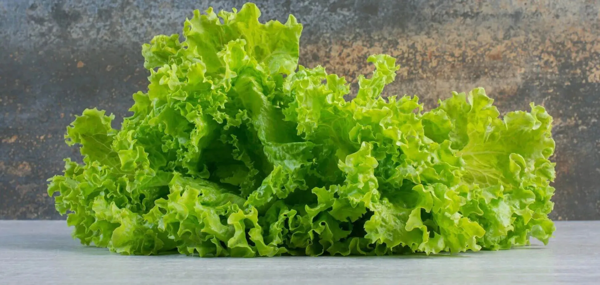 У Львівській області знищили італійську зелень через небезпечного шкідника