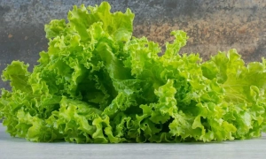 Нацбанк випустив пам'ятну монету, присвячену бронетранспортеру «Буцефал»