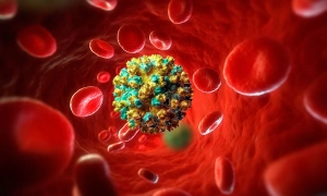 У білорусі поменшало тих, хто за війну з Україною