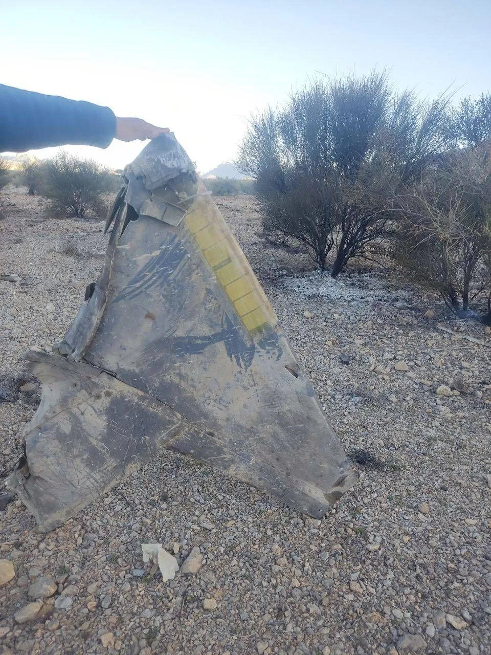 Іран показав уламки винищувача F-15, хоча заявив про збиття F-35 США