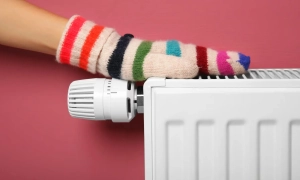 Скандальний проєкт щодо роботи НАБУ та САП хочуть вилучити через порушення, — Железняк