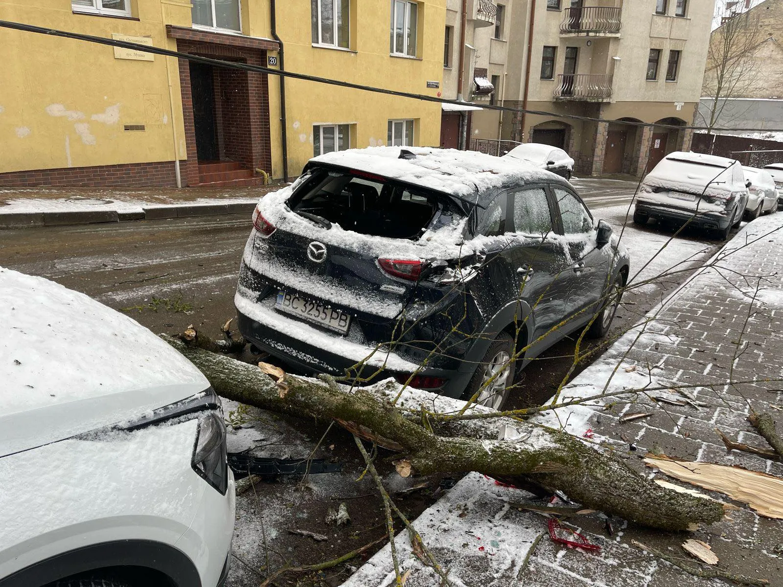 У Львові через ожеледицю та туман запровадили «жовтий» рівень небезпеки