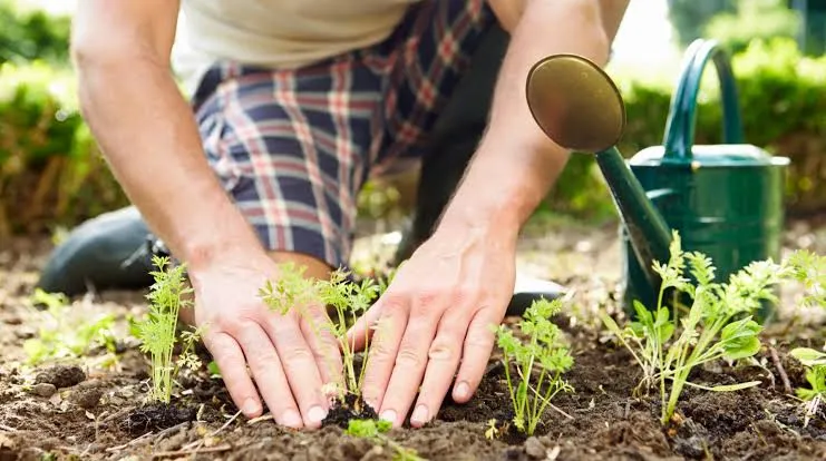 There are calls to ban the import of plant protection products from abroad
