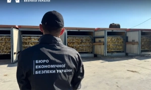 На Дніпропетровщині викрили агента рф, який коригував удари по Нікополю