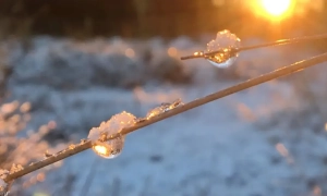 Порошенку не довіряють майже 80% українців, експрезидент встановив антирекорд