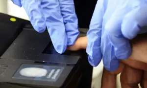 Польща вводить кримінальну відповідальність за треш-стріми та рекламу онлайн-казино
