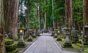 У Франції на мітингу проти пенсійної реформи затримали 120 людей