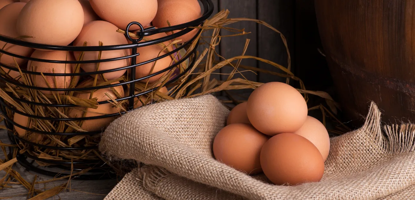 Украинские яйца наводняют британский рынок