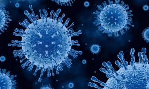 Яке свято 29 січня: вшанування героїв Крут і день Ігнатія Богоносця