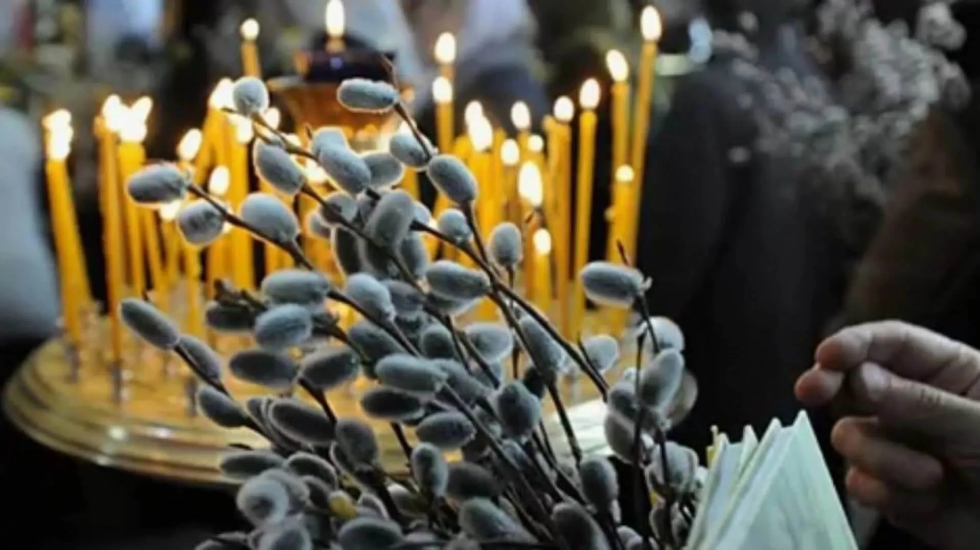 Вербна неділя 2026: дата, головні традиції та заборони великого свята