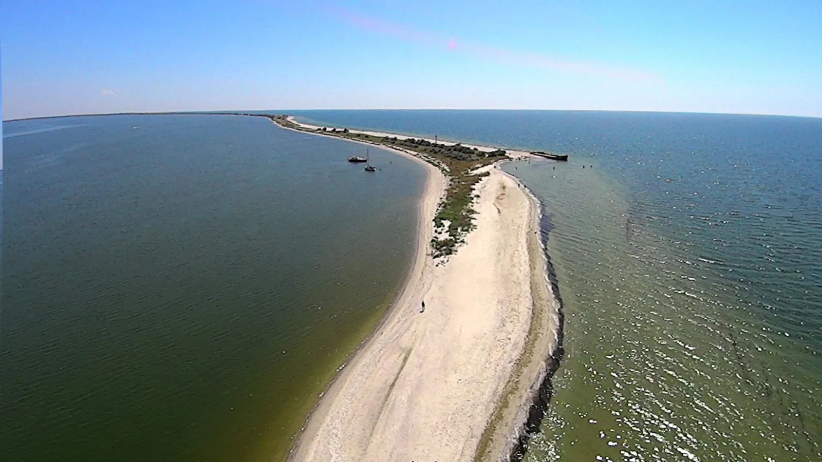 Росіяни знищили Кінбурнську косу та заповідник «Асканія-Нова»