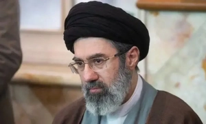 У Новосибірську ввели режим НС через спалах хвороб серед худоби