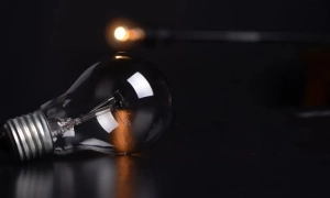 СБУ звинуватила атовців у створенні приватної військової компанії на Київщині