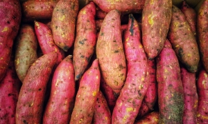 Зеленський погодився на зустріч із Путіним у Туреччині