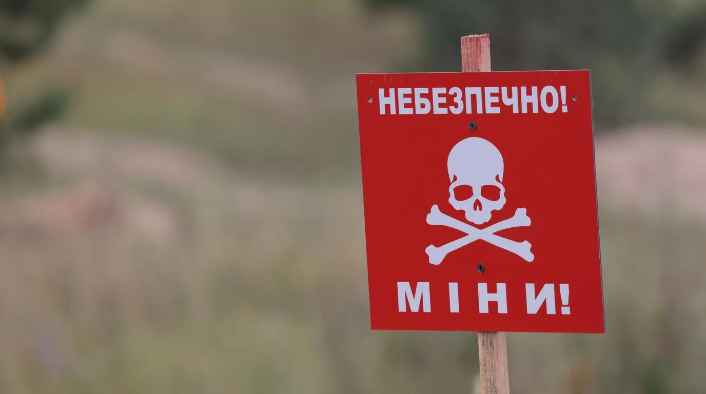 Auctions for the demining of private agricultural land have been announced in Ukraine for the first time