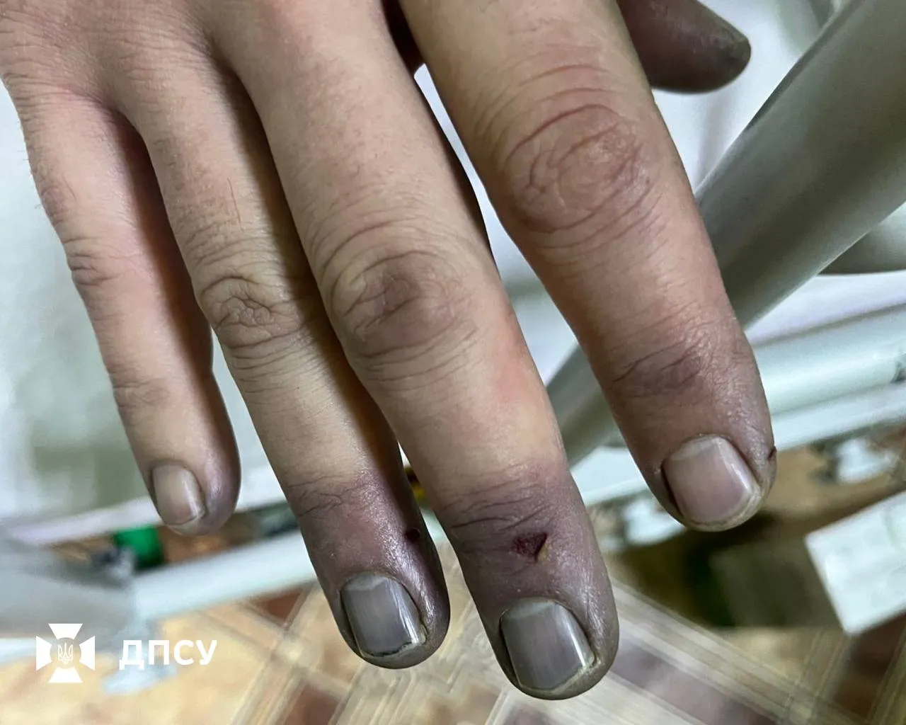 Прикордонники врятували двох чоловіків, які заблукали під час спроби незаконно перетнути кордон