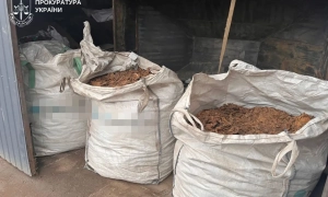 День святої Анни: традиції і обряди свята 9 грудня