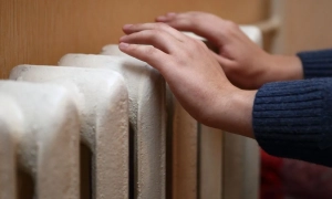 У КМДА повідомили, де кияни зможуть утилізувати новорічні ялинки