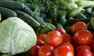 На Закарпатті викрили схему переправлення ухилянтів до Румунії