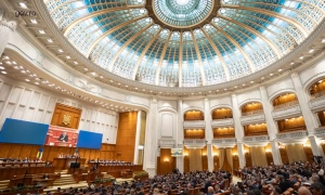 Польські правоохоронці оприлюднили перші докази про шахрайські схеми з українським зерном  