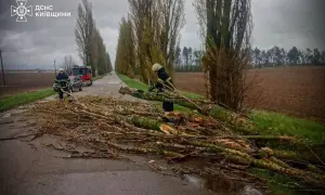 Минюст просит конфисковать имущество экс-депутатки из Крыма за переход на сторону рф