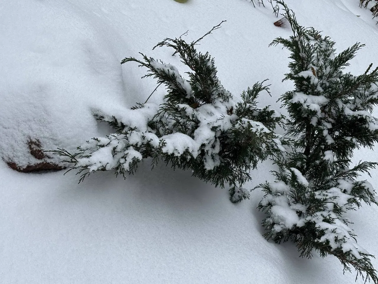 Прогноз погоди на 12 січня: морози до 20° та ожеледиця на дорогах