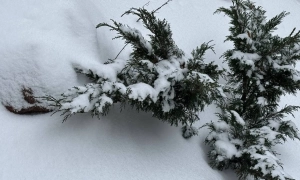 В Україні очікуються сильні морози: де буде найхолодніше