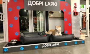 В Одесі виявлено нафтові плями та загиблих птахів на пляжах