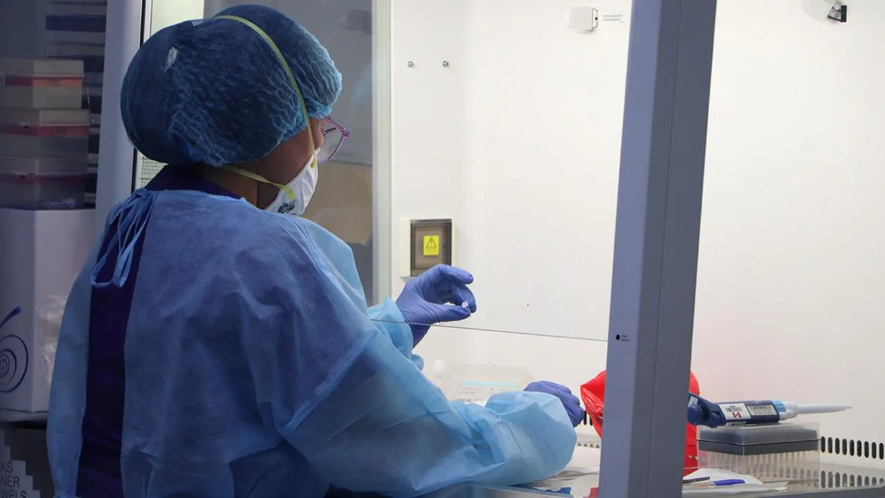 Мавпяча віспа уперше зафіксована в росії