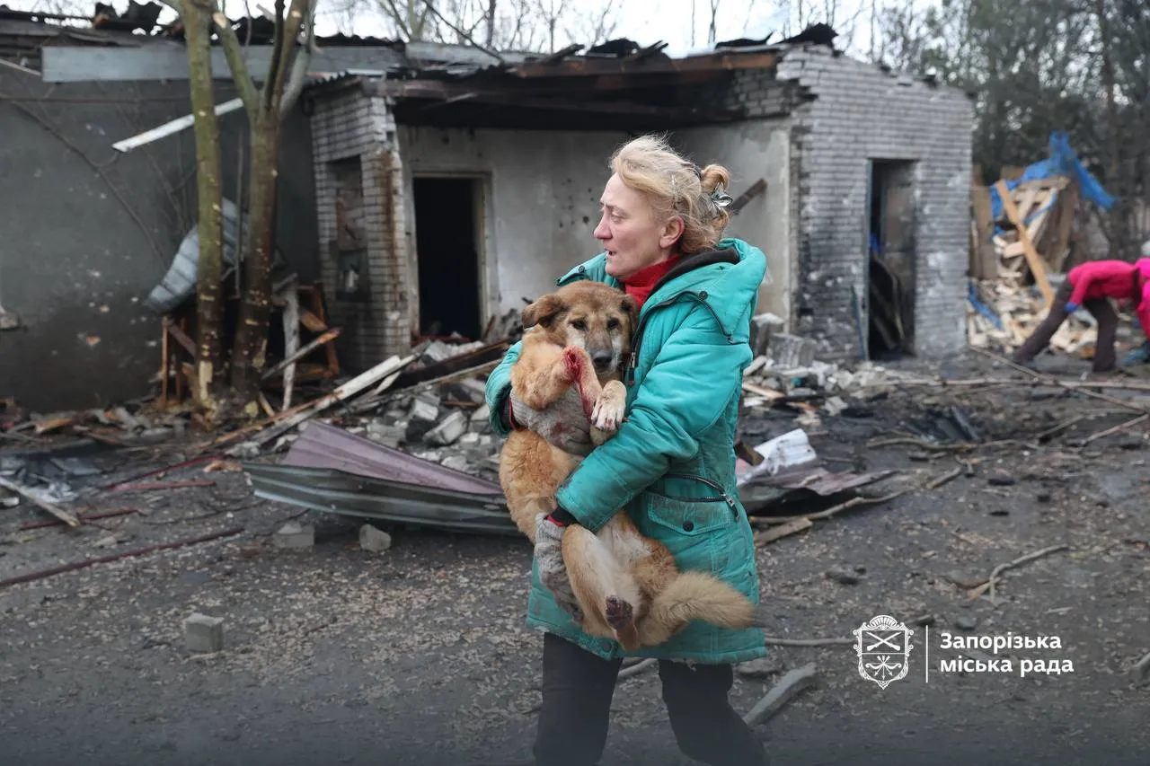 У Запоріжжі через російський обстріл загинули 13 собак у притулку