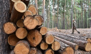 У команді України на переговорах у Женеві стався розкол – The Economist