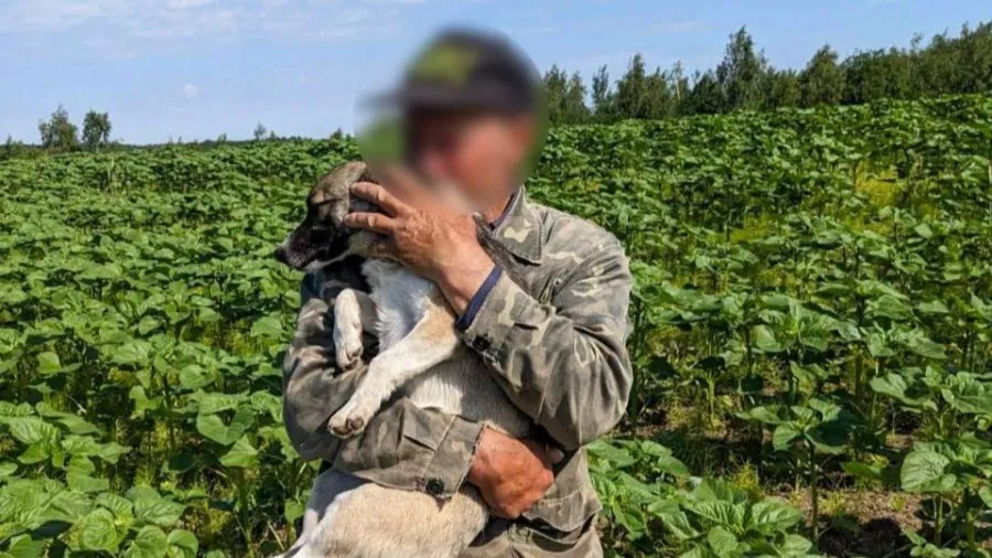 Video: Rescuers in Rivne Oblast Rescued a Dog from a 15-meter-deep well