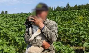 СБУ та ОГП викрили керівників обласної поліції на схемі «кришування» відвертого контенту