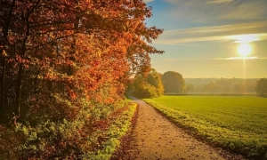 Путін дав терористичну відповідь на мирні пропозиції США та Трампа, — Сибіга