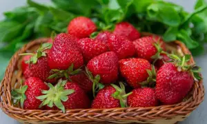Самолет с эвакуированными из Китая украинцами сменил направление и летит в Киев