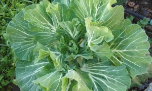 В уряді пояснили, чому досі в Україні не відключають світло і що буде далі