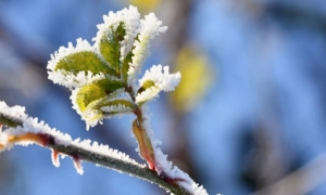 Володимир Зеленський зустрівся з дітьми загиблих захисників у Софії Київській
